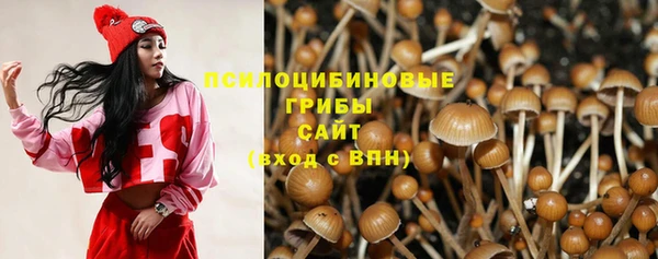 синтетический гашиш Алексин