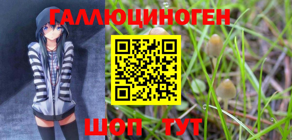 Галлюциногенные грибы GOLDEN TEACHER Алексеевка