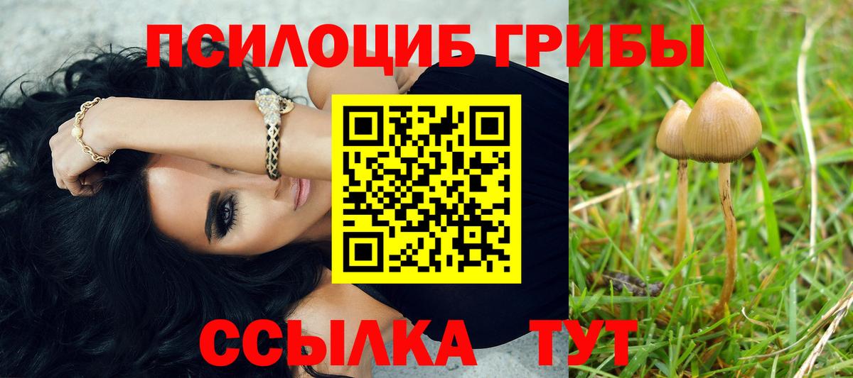 Галлюциногенные грибы ЛСД  Вход с VPN  сколько стоит  Алексеевка 
